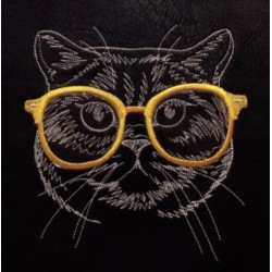 Chat à lunettes