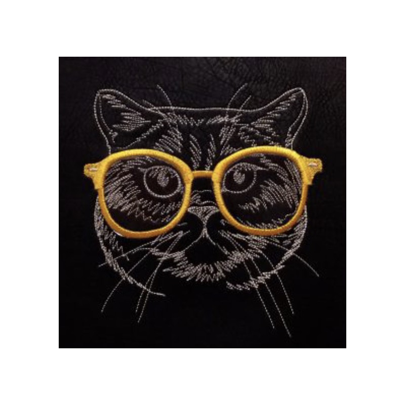 Chat à lunettes