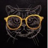 Chat à lunettes