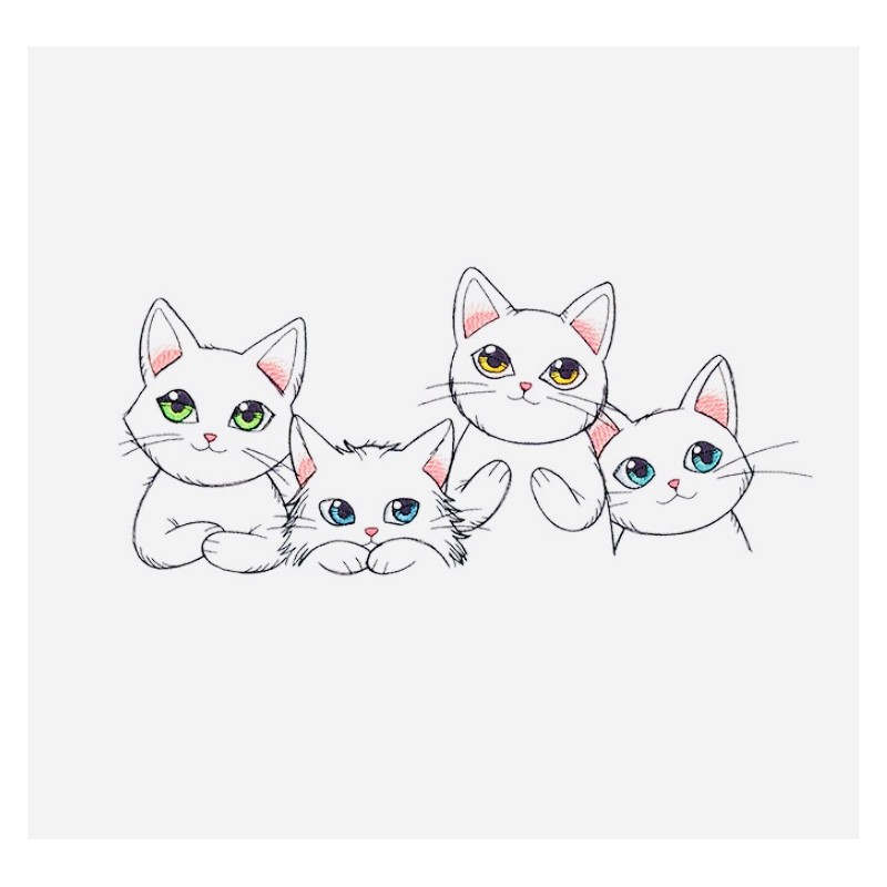 Quatuor de chats